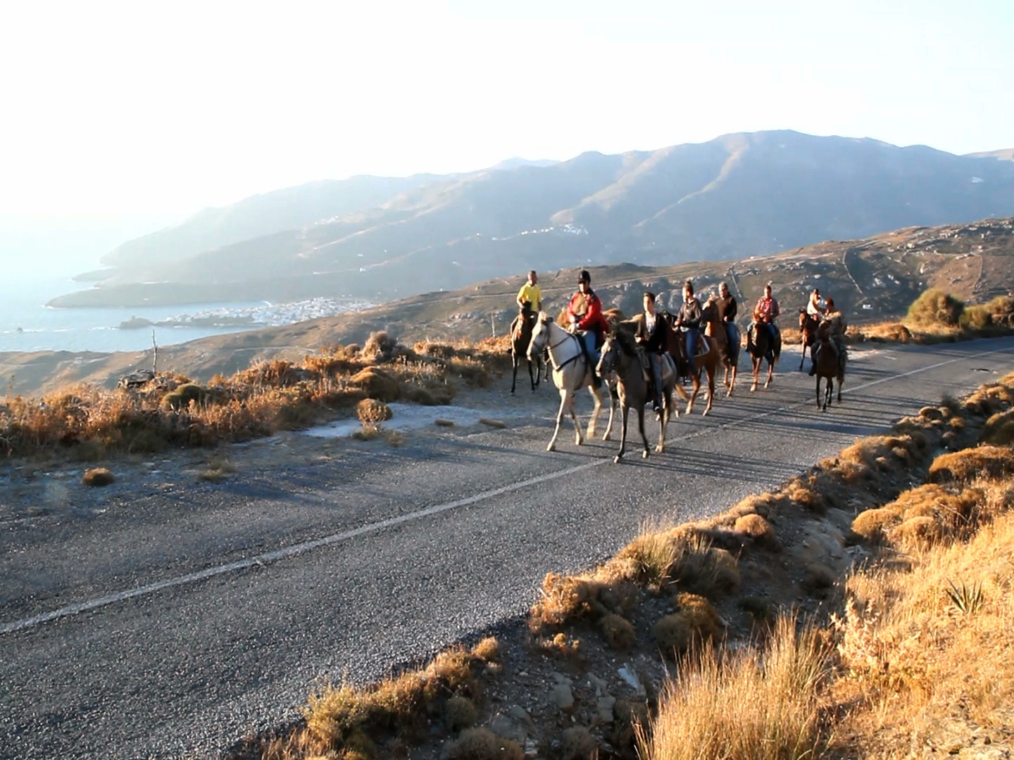 Horse Back Riding in Andros